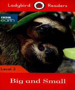 Ladybird Readers BBC Earth: Big and Small