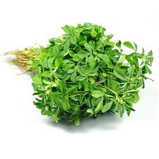 Fenugreek Leaves Methi Bunches - Image 2
