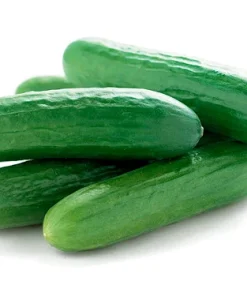 Mini Cucumber /lb