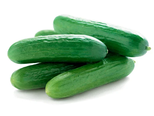 Mini Cucumber /lb - Image 2